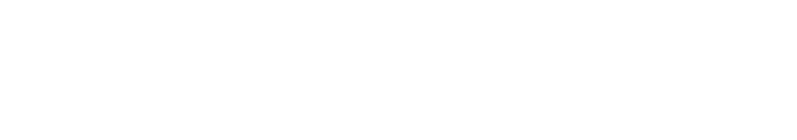 Volkswagen Service, Volkswagen Nutzfahrzeuge Service, Audi Service, vanexxt