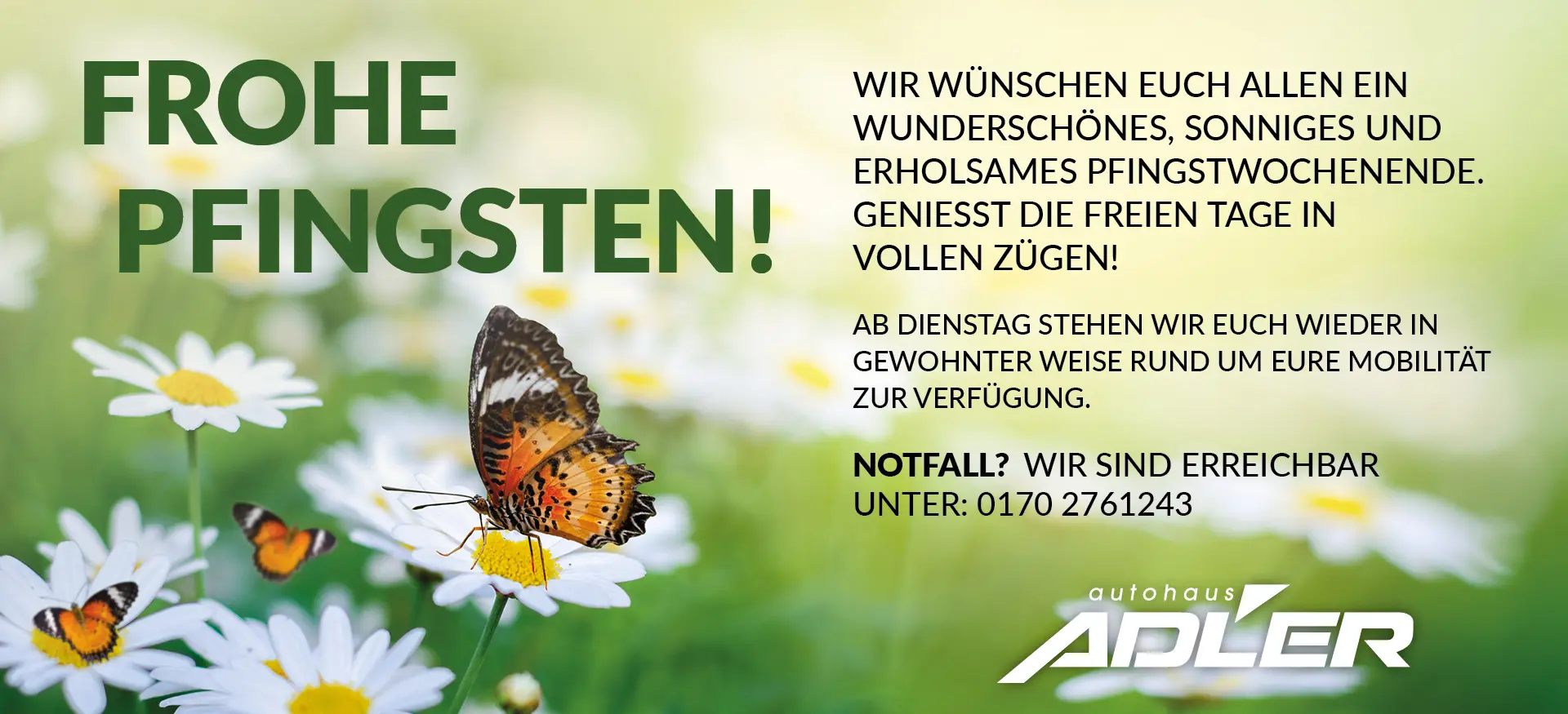 Frohe Pfingsten! Wir wünschen euch allen ein wunderschönes, sonniges und erholsames Pfingstwochenende. genießt die<br />
freien Tage in vollen Zügen!<br />
Ab Dienstag stehen wir euch wieder in gewohnter<br />
Weise rund um eure Mobilität zur Verfügung.<br />
Notfall?<br />
Wir sind erreichbar<br />
unter: 0170 2761243