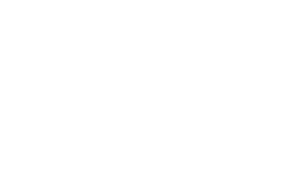 VW Nutzfahrzeuge Service